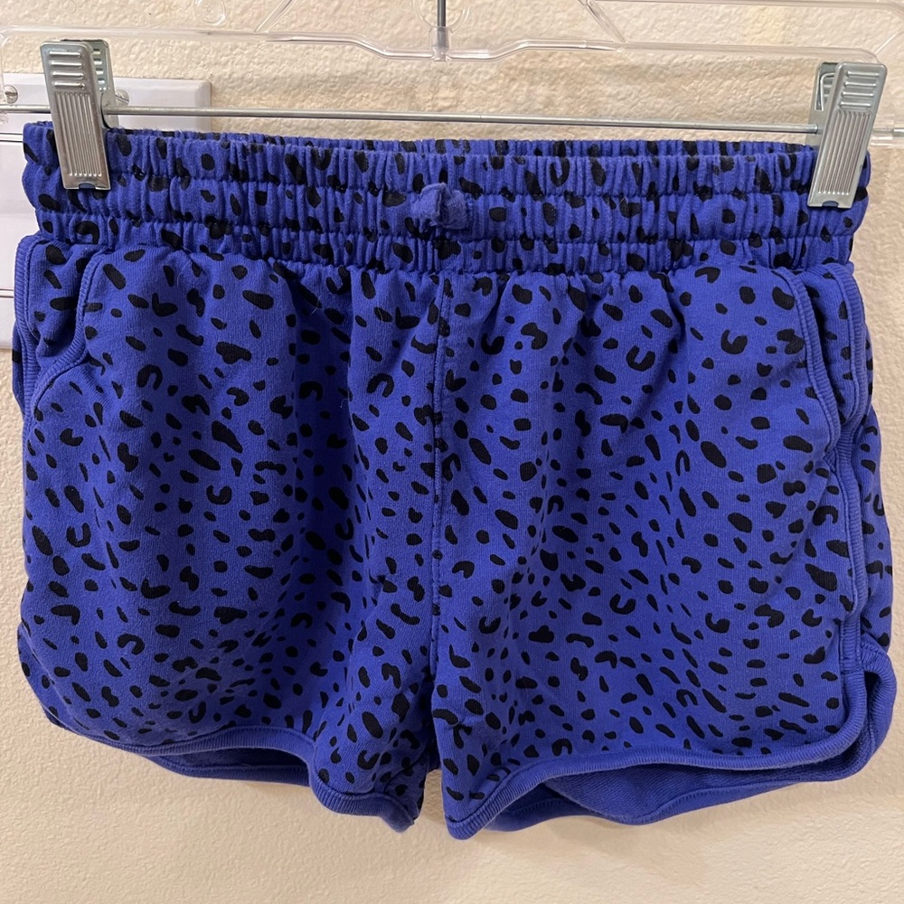 Tea Collection Blue Cotton leopard print Shorts